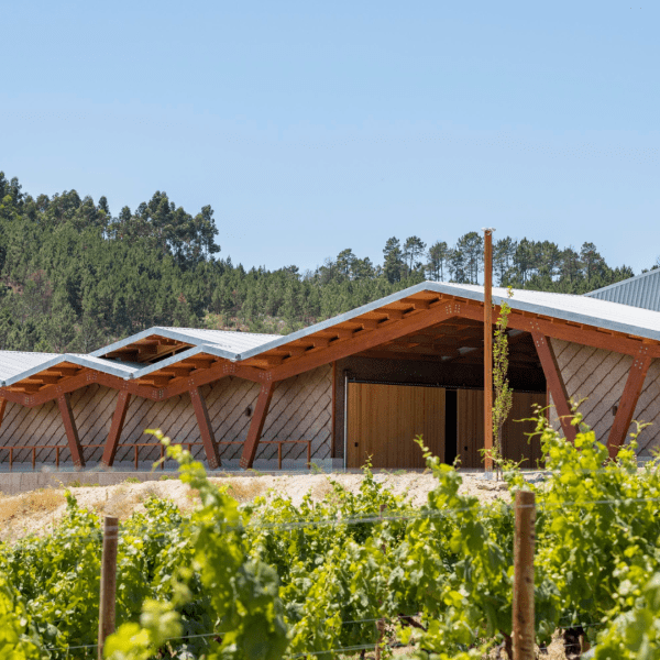 Quinta da Taboadella Adega